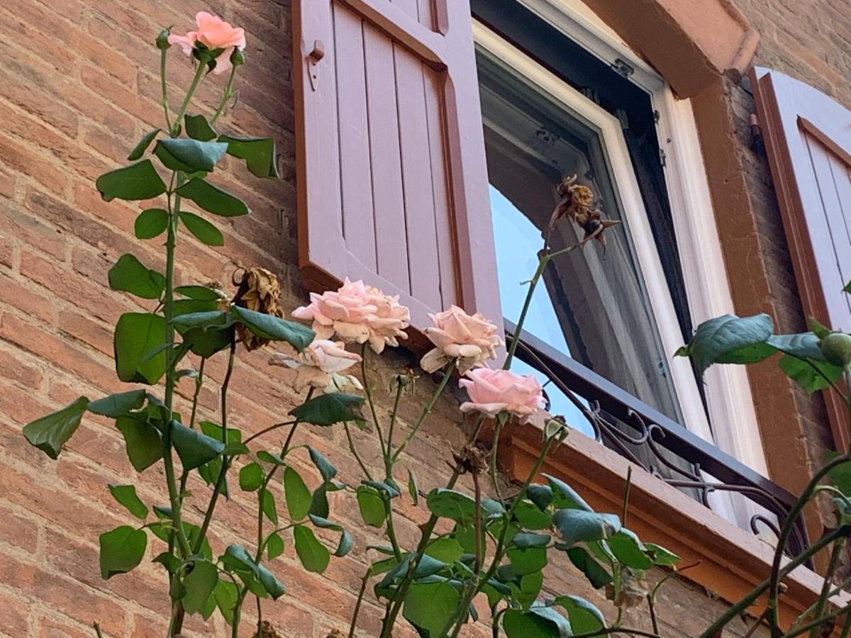 Casina Delle Rose Apartment Bologna Exterior photo
